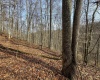 797 Big Elk Road, Wallace, West Virginia 26448, ,Lots/land,For Sale,Big Elk,10157322