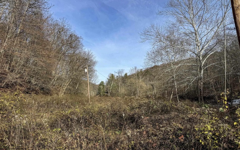 797 Big Elk Road, Wallace, West Virginia 26448, ,Lots/land,For Sale,Big Elk,10157322