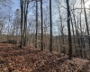 797 Big Elk Road, Wallace, West Virginia 26448, ,Lots/land,For Sale,Big Elk,10157322