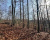 797 Big Elk Road, Wallace, West Virginia 26448, ,Lots/land,For Sale,Big Elk,10157322