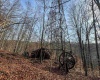 797 Big Elk Road, Wallace, West Virginia 26448, ,Lots/land,For Sale,Big Elk,10157322