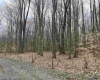 lot 42 Bobcat Road, Davis, West Virginia 26260, ,Lots/land,For Sale,Bobcat,10157334