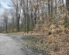 lot 42 Bobcat Road, Davis, West Virginia 26260, ,Lots/land,For Sale,Bobcat,10157334