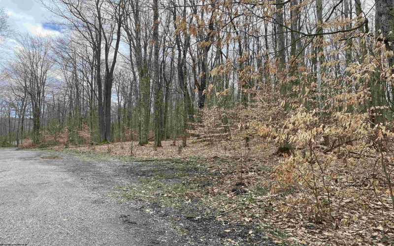 lot 42 Bobcat Road, Davis, West Virginia 26260, ,Lots/land,For Sale,Bobcat,10157334