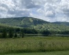 lot 42 Bobcat Road, Davis, West Virginia 26260, ,Lots/land,For Sale,Bobcat,10157334