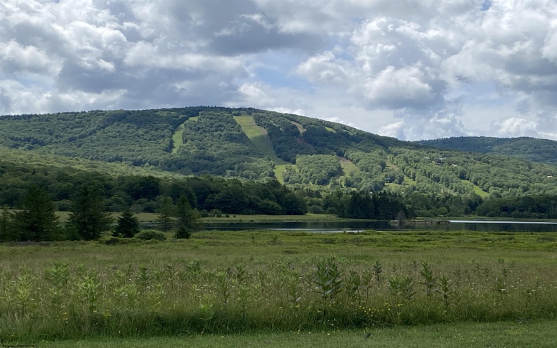 lot 42 Bobcat Road, Davis, West Virginia 26260, ,Lots/land,For Sale,Bobcat,10157334