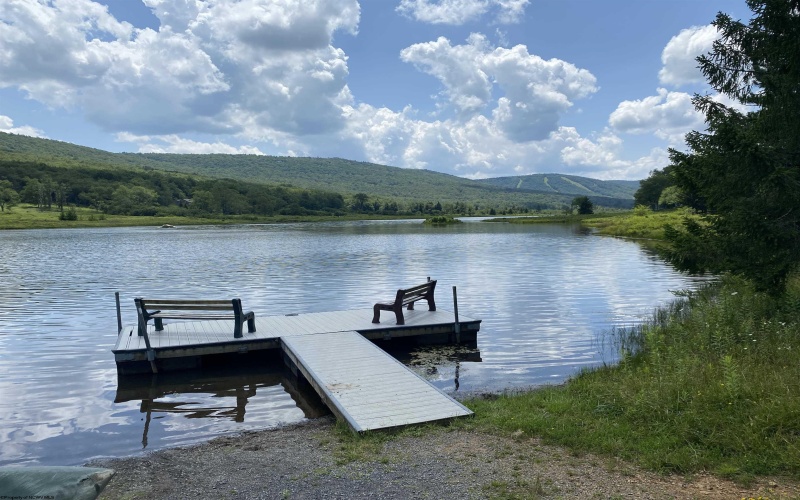 lot 42 Bobcat Road, Davis, West Virginia 26260, ,Lots/land,For Sale,Bobcat,10157334