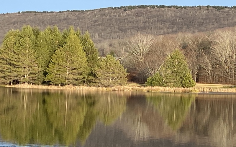 lot 42 Bobcat Road, Davis, West Virginia 26260, ,Lots/land,For Sale,Bobcat,10157334