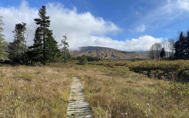 lot 42 Bobcat Road, Davis, West Virginia 26260, ,Lots/land,For Sale,Bobcat,10157334