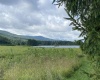 lot 42 Bobcat Road, Davis, West Virginia 26260, ,Lots/land,For Sale,Bobcat,10157334