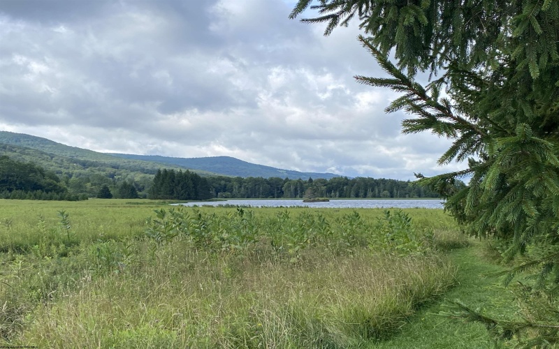lot 42 Bobcat Road, Davis, West Virginia 26260, ,Lots/land,For Sale,Bobcat,10157334