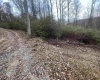 TBA Life's Run Road, Jane Lew, West Virginia 26378, ,Lots/land,For Sale,Life's Run,10157350