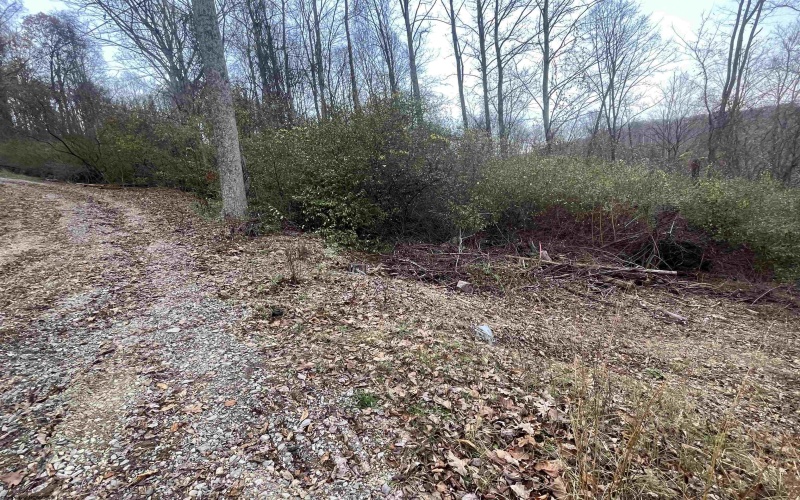 TBA Life's Run Road, Jane Lew, West Virginia 26378, ,Lots/land,For Sale,Life's Run,10157350