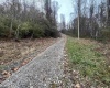 TBA Life's Run Road, Jane Lew, West Virginia 26378, ,Lots/land,For Sale,Life's Run,10157350