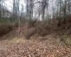 TBA Life's Run Road, Jane Lew, West Virginia 26378, ,Lots/land,For Sale,Life's Run,10157350