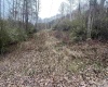 TBA Life's Run Road, Jane Lew, West Virginia 26378, ,Lots/land,For Sale,Life's Run,10157350