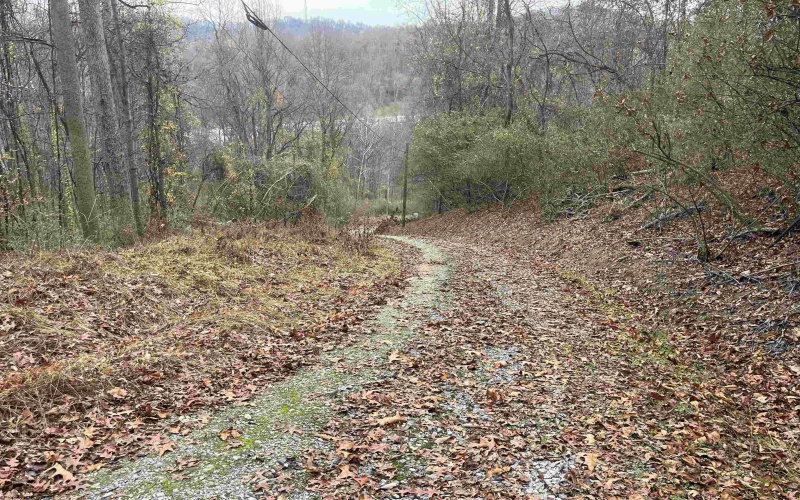 TBA Life's Run Road, Jane Lew, West Virginia 26378, ,Lots/land,For Sale,Life's Run,10157350