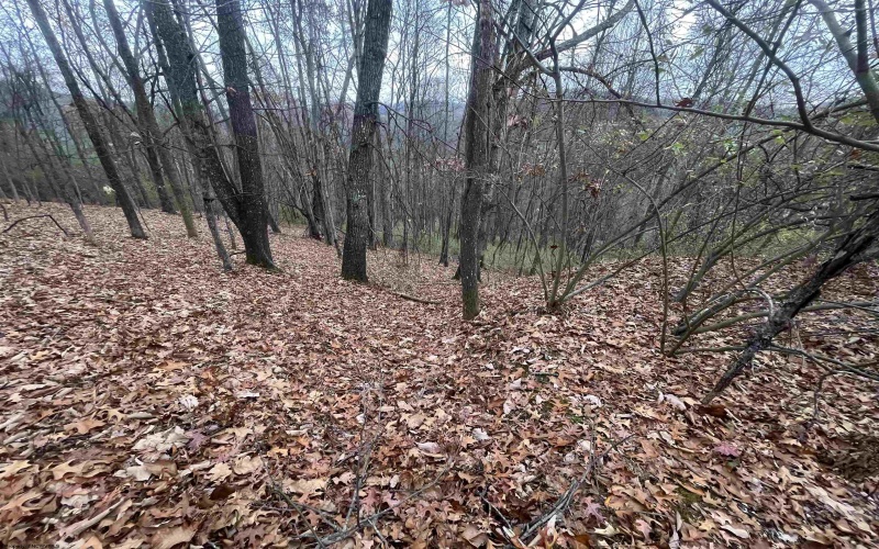 TBA Life's Run Road, Jane Lew, West Virginia 26378, ,Lots/land,For Sale,Life's Run,10157350