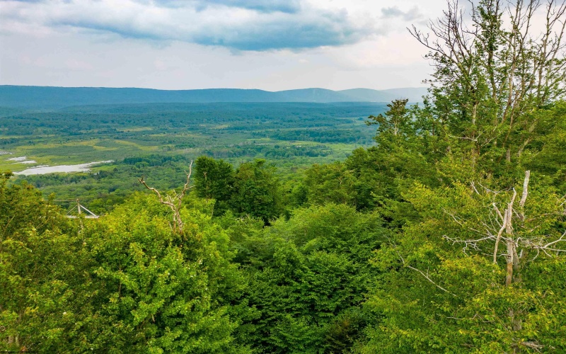 Lot 8 Canaan Heights Estates Road, Davis, West Virginia 26260, ,Lots/land,For Sale,Canaan Heights Estates,10150344