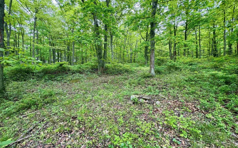 TBD Hopewell Road, Fairmont, West Virginia 26554, ,Lots/land,For Sale,Hopewell,10154195