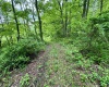 TBD Hopewell Road, Fairmont, West Virginia 26554, ,Lots/land,For Sale,Hopewell,10154195