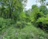 TBD Hopewell Road, Fairmont, West Virginia 26554, ,Lots/land,For Sale,Hopewell,10154195