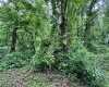 TBD Hopewell Road, Fairmont, West Virginia 26554, ,Lots/land,For Sale,Hopewell,10154195