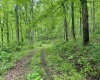 TBD Hopewell Road, Fairmont, West Virginia 26554, ,Lots/land,For Sale,Hopewell,10154195