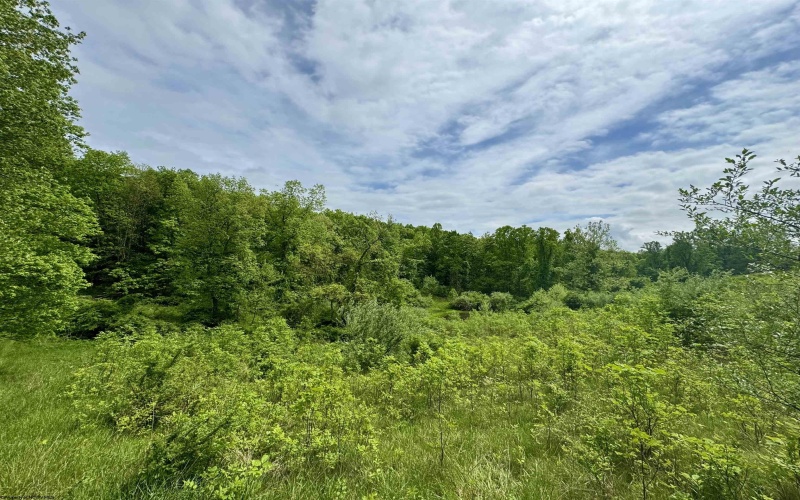 TBD Hopewell Road, Fairmont, West Virginia 26554, ,Lots/land,For Sale,Hopewell,10154195