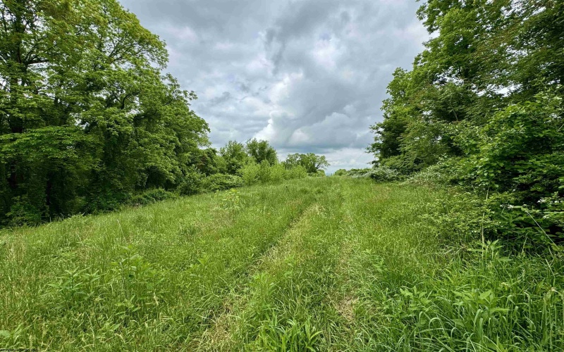 TBD Hopewell Road, Fairmont, West Virginia 26554, ,Lots/land,For Sale,Hopewell,10154195