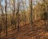 TBD Earl Run Road, Metz, West Virginia 26585, ,Lots/land,For Sale,Earl Run,10157409