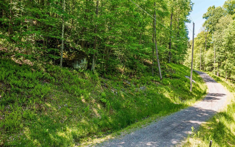 Lot 17 Trailwoods Circle, Bruceton Mills, West Virginia 26525, ,Lots/land,For Sale,Trailwoods,10157416