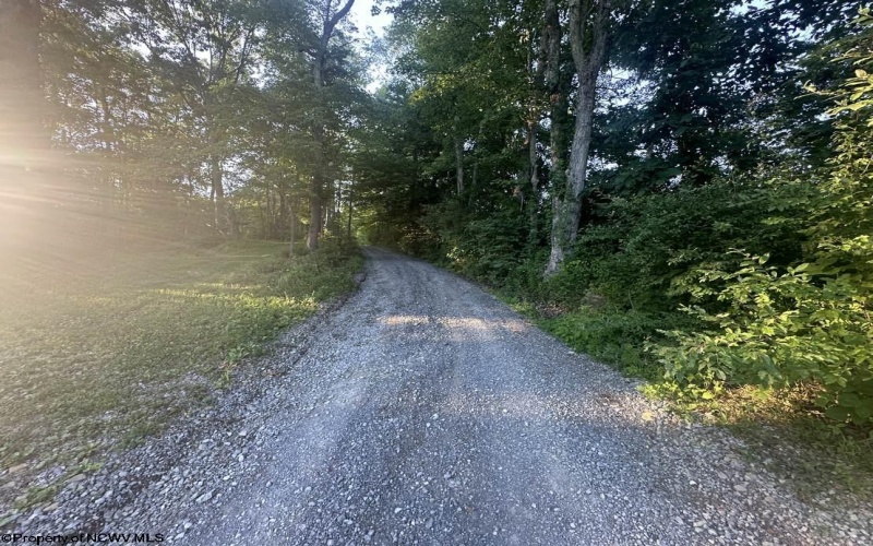 TBD Stone Coal Road, Lost Creek, West Virginia 26385, ,Lots/land,For Sale,Stone Coal,10157426