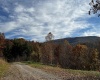 2878 Mackeyville Road, Hambleton, West Virginia 26269, ,Lots/land,For Sale,Mackeyville,10149642