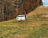 2878 Mackeyville Road, Hambleton, West Virginia 26269, ,Lots/land,For Sale,Mackeyville,10149642