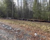153 Riverstone Landing, Bruceton Mills, West Virginia 26525, ,Lots/land,For Sale,Riverstone,10157447