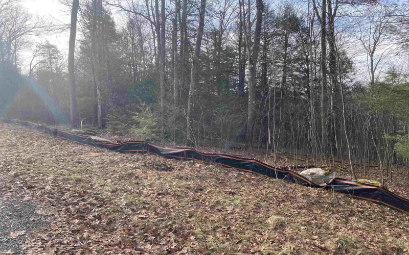 153 Riverstone Landing, Bruceton Mills, West Virginia 26525, ,Lots/land,For Sale,Riverstone,10157447