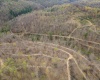 TBD Wolf Pen Road, Crawford, West Virginia 26343, ,Lots/land,For Sale,Wolf Pen,10157456