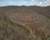 TBD Wolf Pen Road, Crawford, West Virginia 26343, ,Lots/land,For Sale,Wolf Pen,10157456