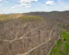 TBD Wolf Pen Road, Crawford, West Virginia 26343, ,Lots/land,For Sale,Wolf Pen,10157456