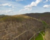 TBD Wolf Pen Road, Crawford, West Virginia 26343, ,Lots/land,For Sale,Wolf Pen,10157456