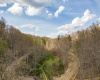 TBD Wolf Pen Road, Crawford, West Virginia 26343, ,Lots/land,For Sale,Wolf Pen,10157456