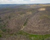 TBD Wolf Pen Road, Crawford, West Virginia 26343, ,Lots/land,For Sale,Wolf Pen,10157456