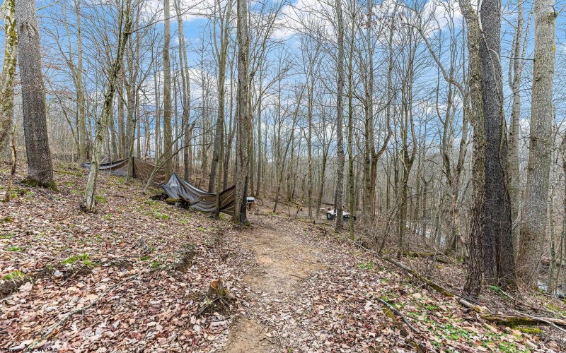 TBD Coal Lick Road, Albright, West Virginia 26519, ,Lots/land,For Sale,Coal Lick,10157471