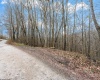 TBD Coal Lick Road, Albright, West Virginia 26519, ,Lots/land,For Sale,Coal Lick,10157471