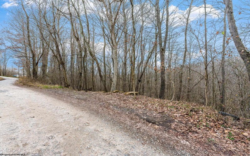 TBD Coal Lick Road, Albright, West Virginia 26519, ,Lots/land,For Sale,Coal Lick,10157471