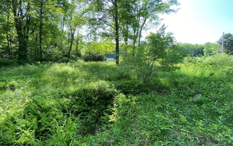 Tract C Halleck Road, Morgantown, West Virginia 26508, ,Lots/land,For Sale,Halleck,10149320