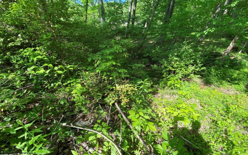 Tract C Halleck Road, Morgantown, West Virginia 26508, ,Lots/land,For Sale,Halleck,10149320