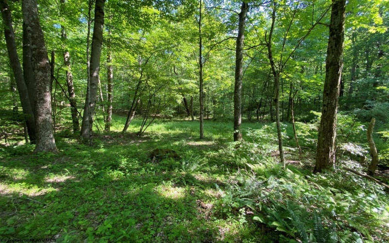 Tract C Halleck Road, Morgantown, West Virginia 26508, ,Lots/land,For Sale,Halleck,10149320