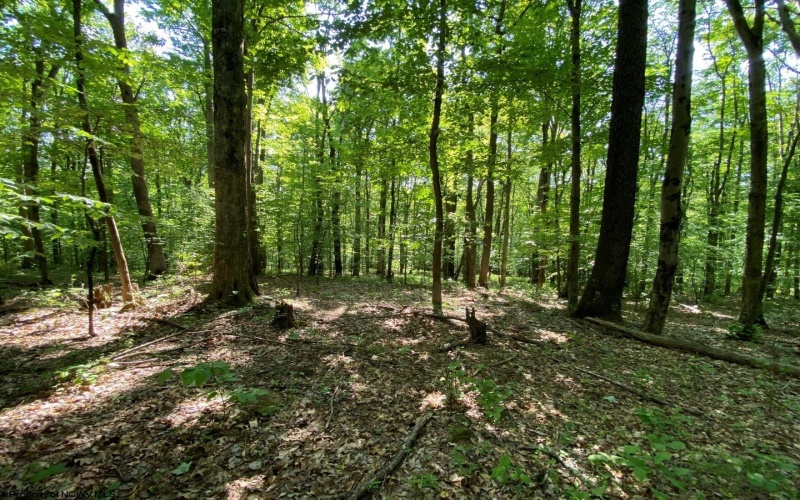 Tract C Halleck Road, Morgantown, West Virginia 26508, ,Lots/land,For Sale,Halleck,10149320